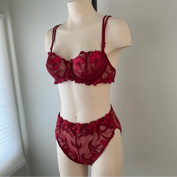 Lise Charmel Bra & Panty Matching Set French Luxury Mesh Red Size 38B - Picture 6 of 6